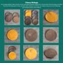 Cheery Mishaps - Personalized Leather Coasters (Sold Individually)